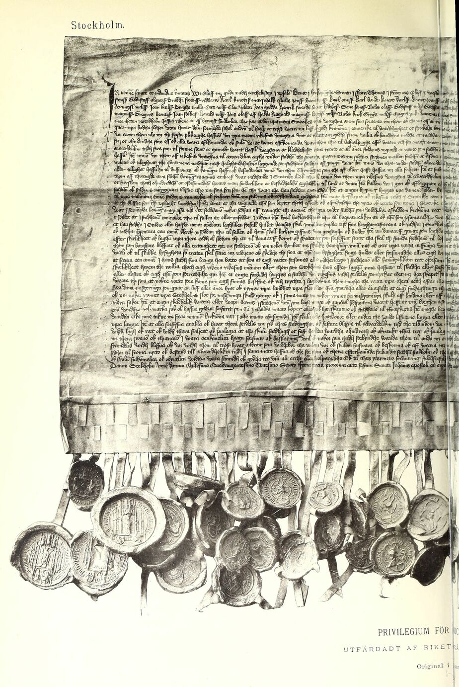 scanned image