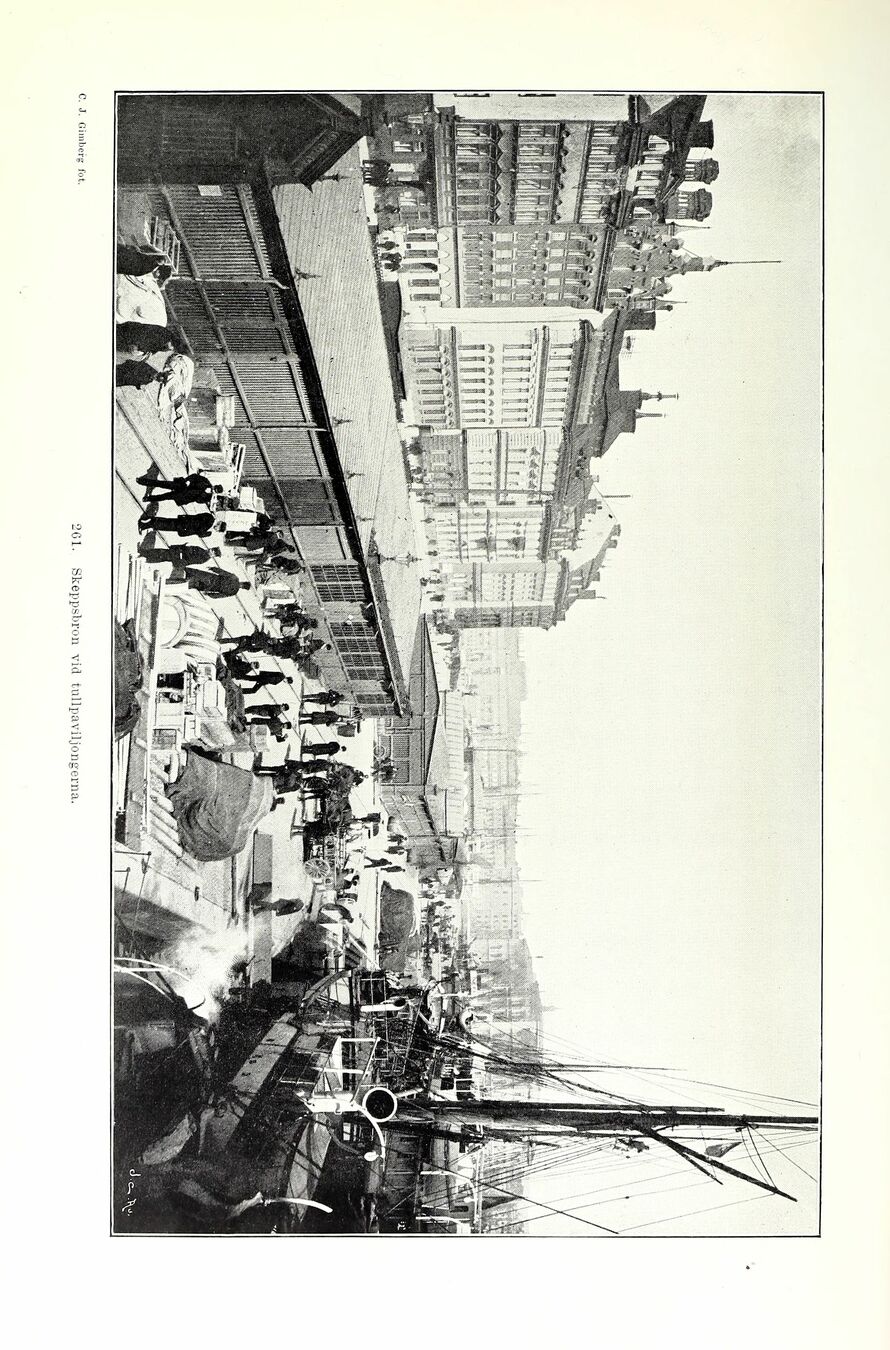 scanned image