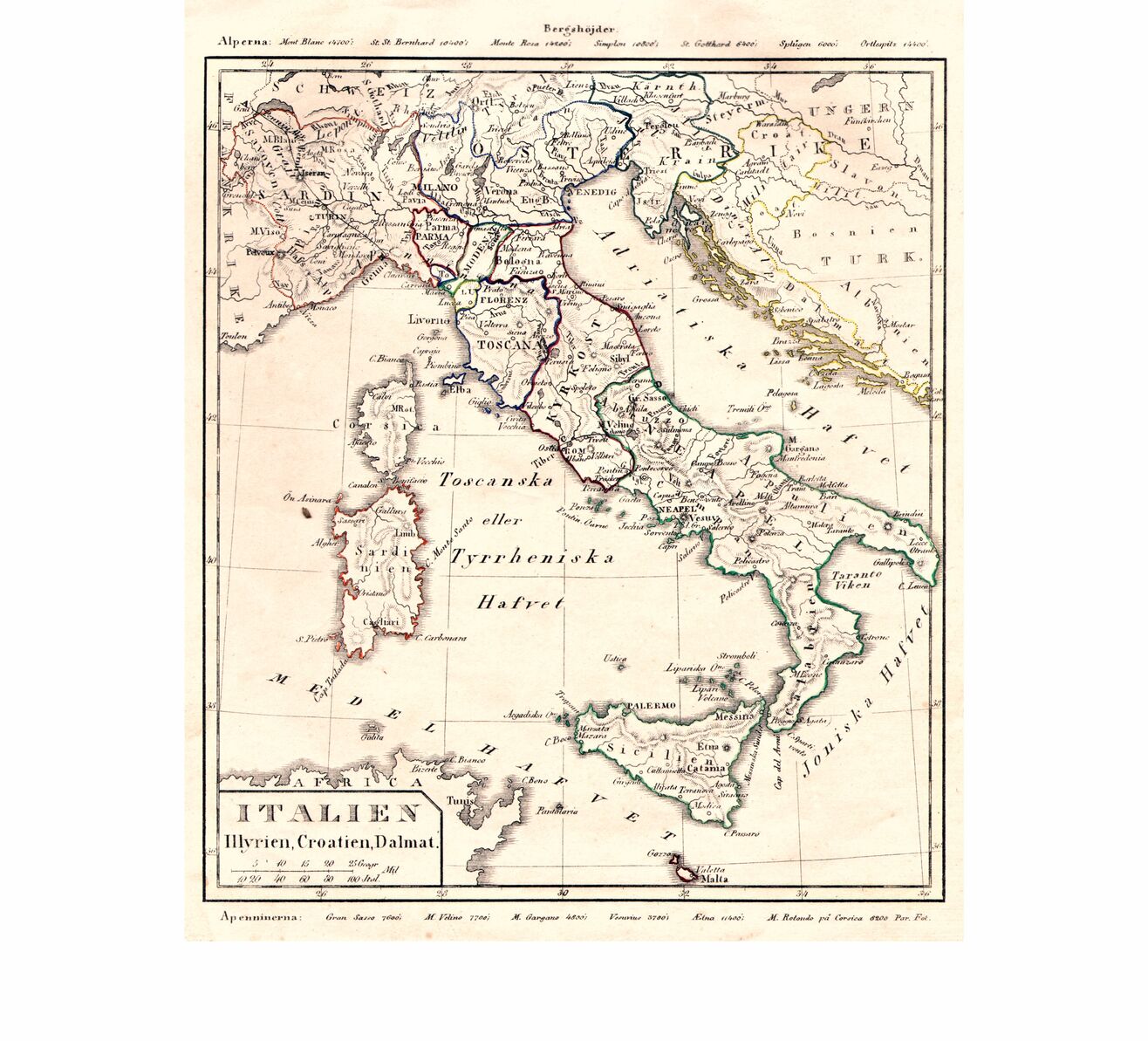 scanned image