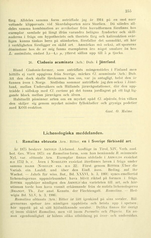 scanned image