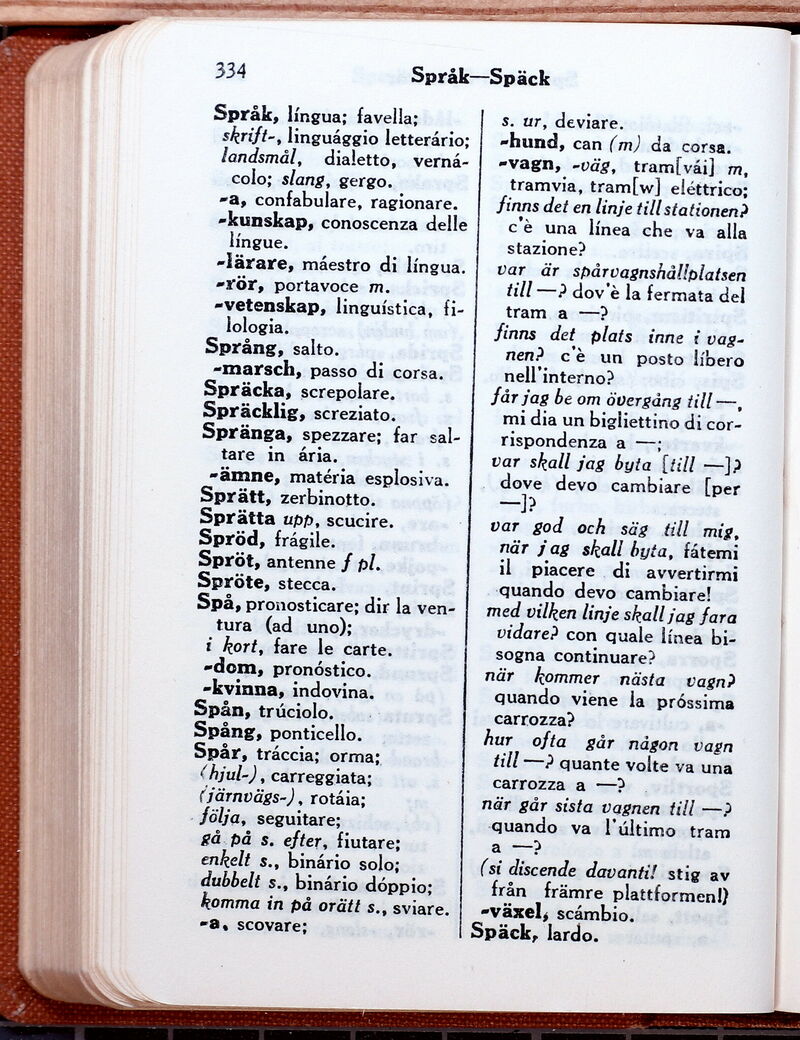 scanned image