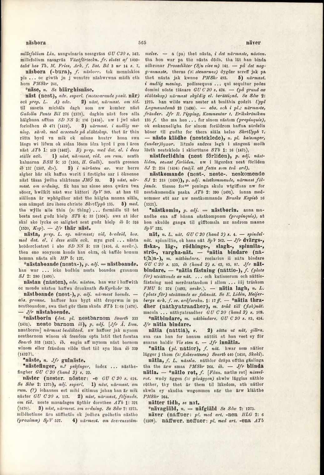 scanned image
