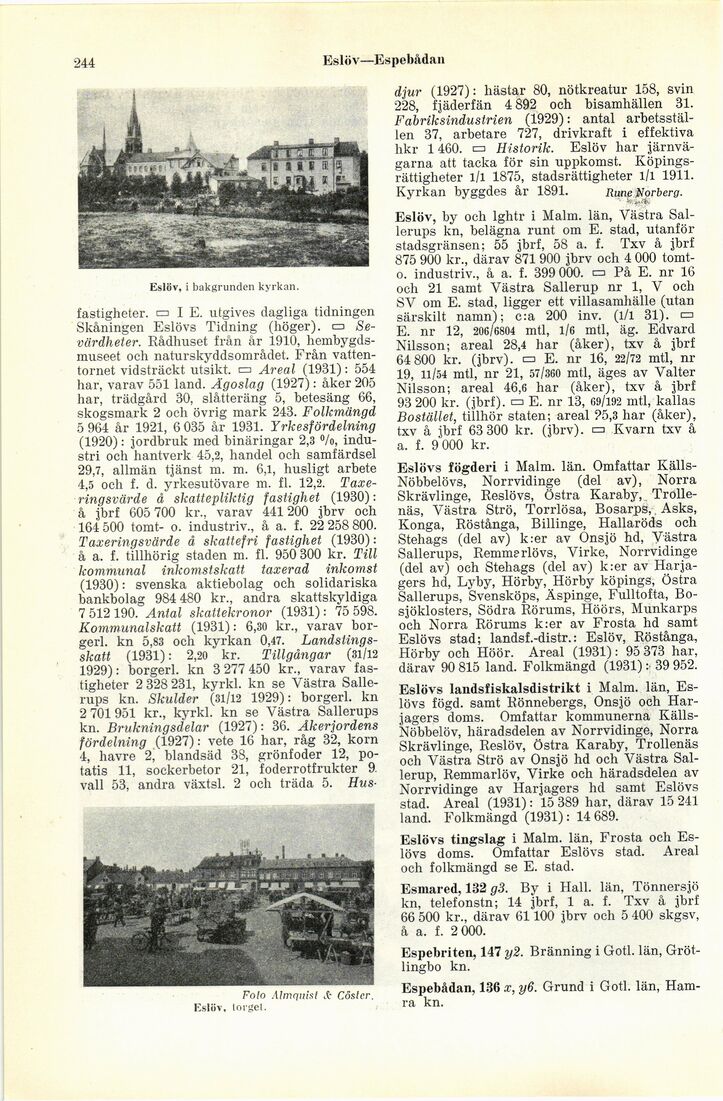 scanned image