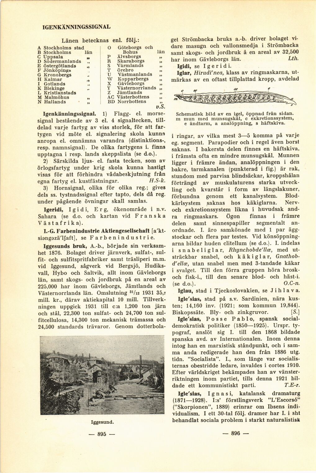 scanned image