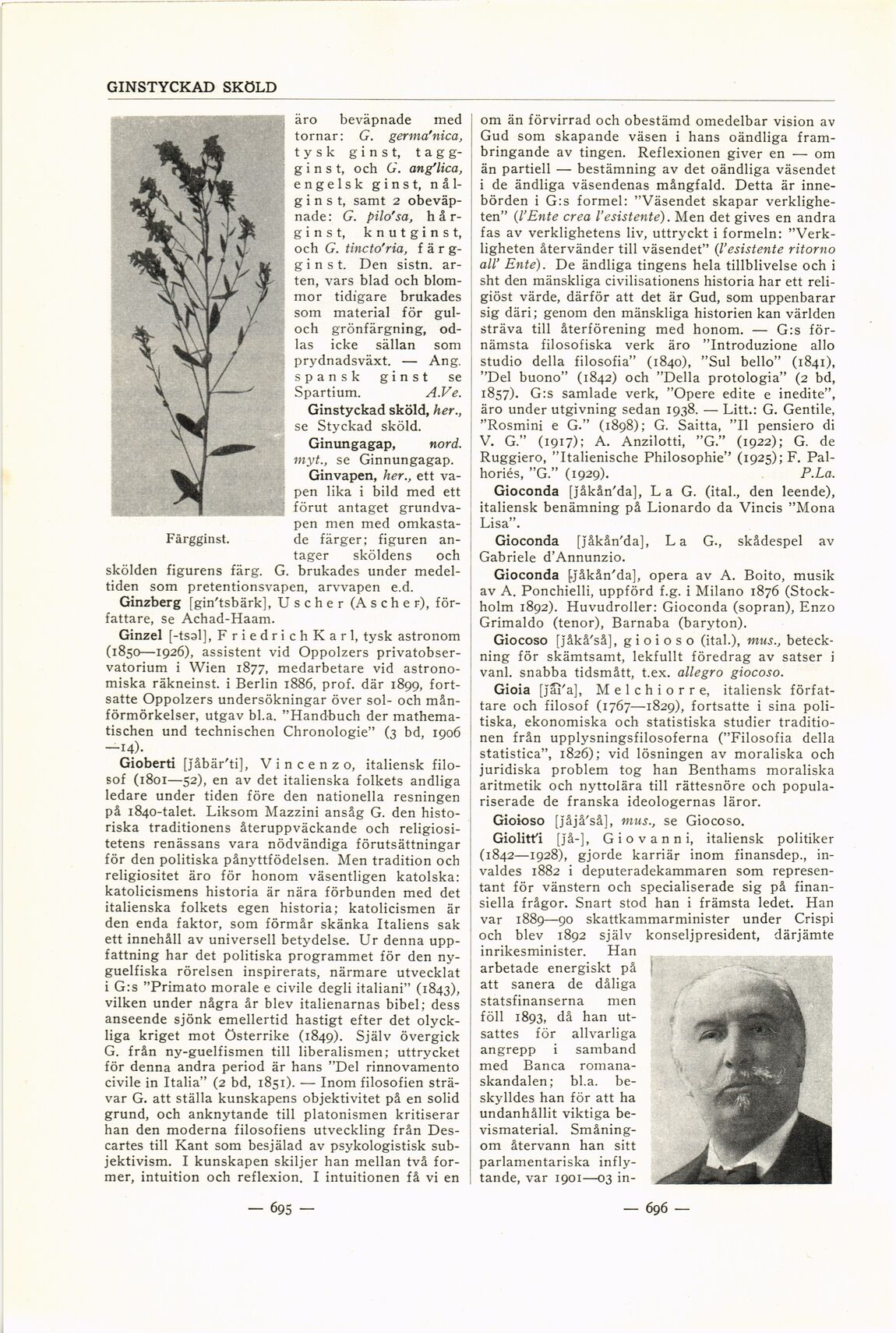 scanned image