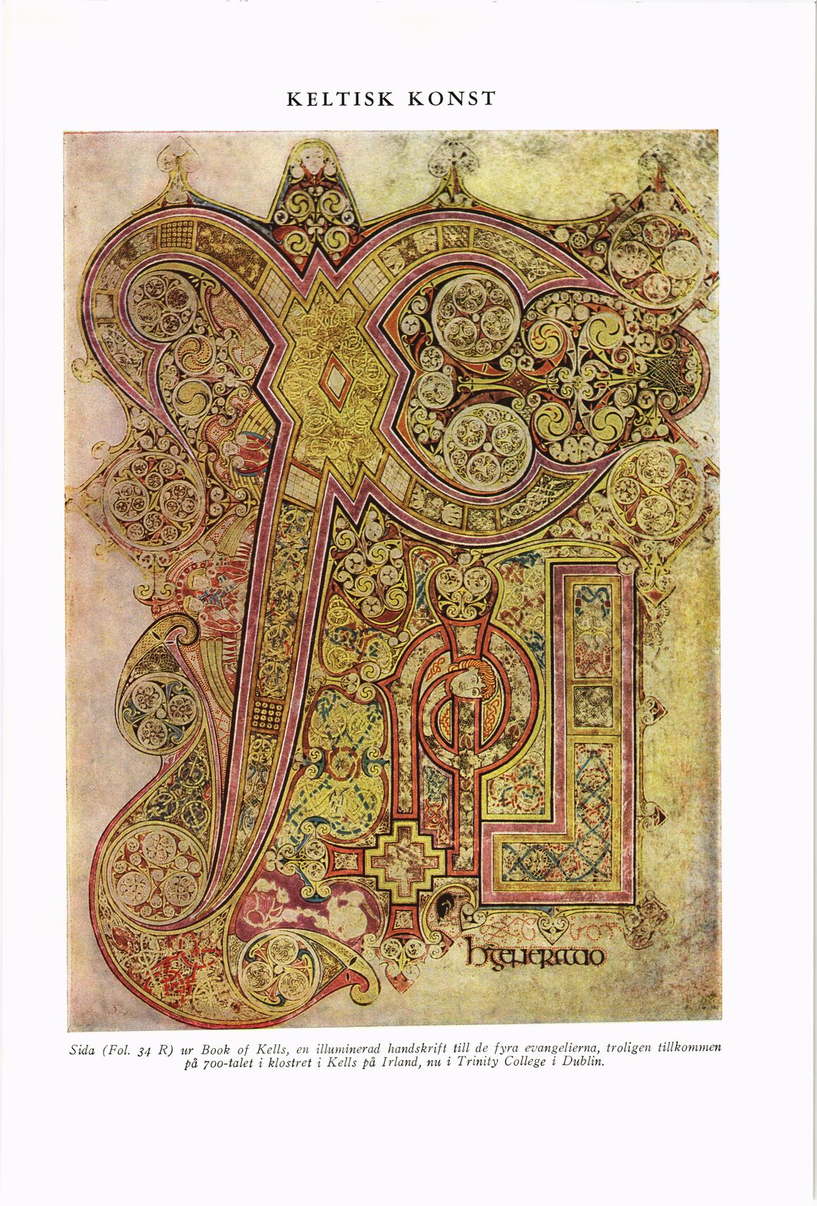 scanned image