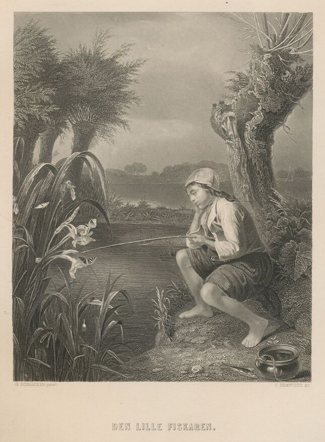 scanned image