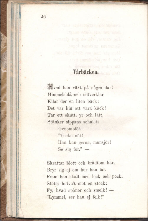 scanned image