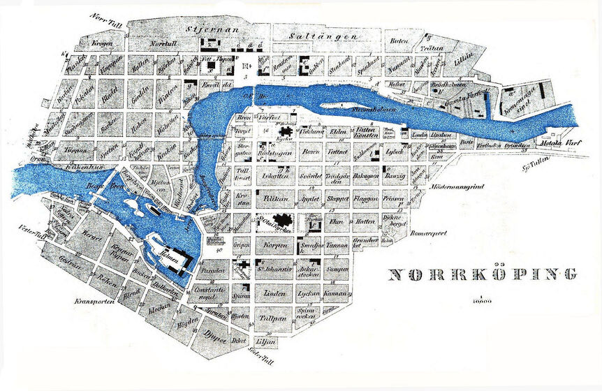 scanned image