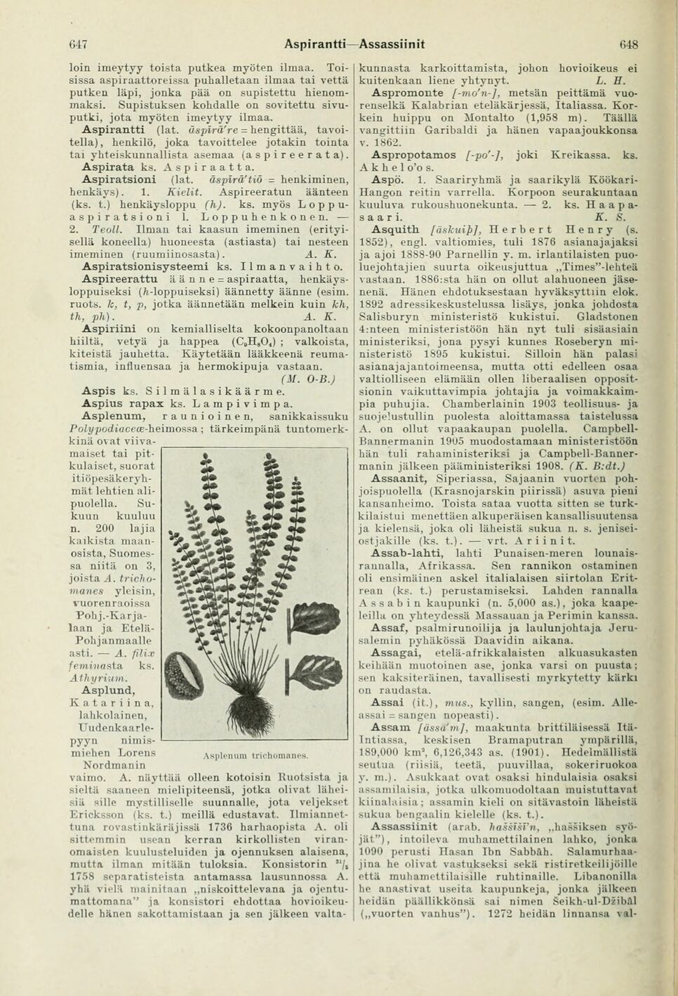 scanned image