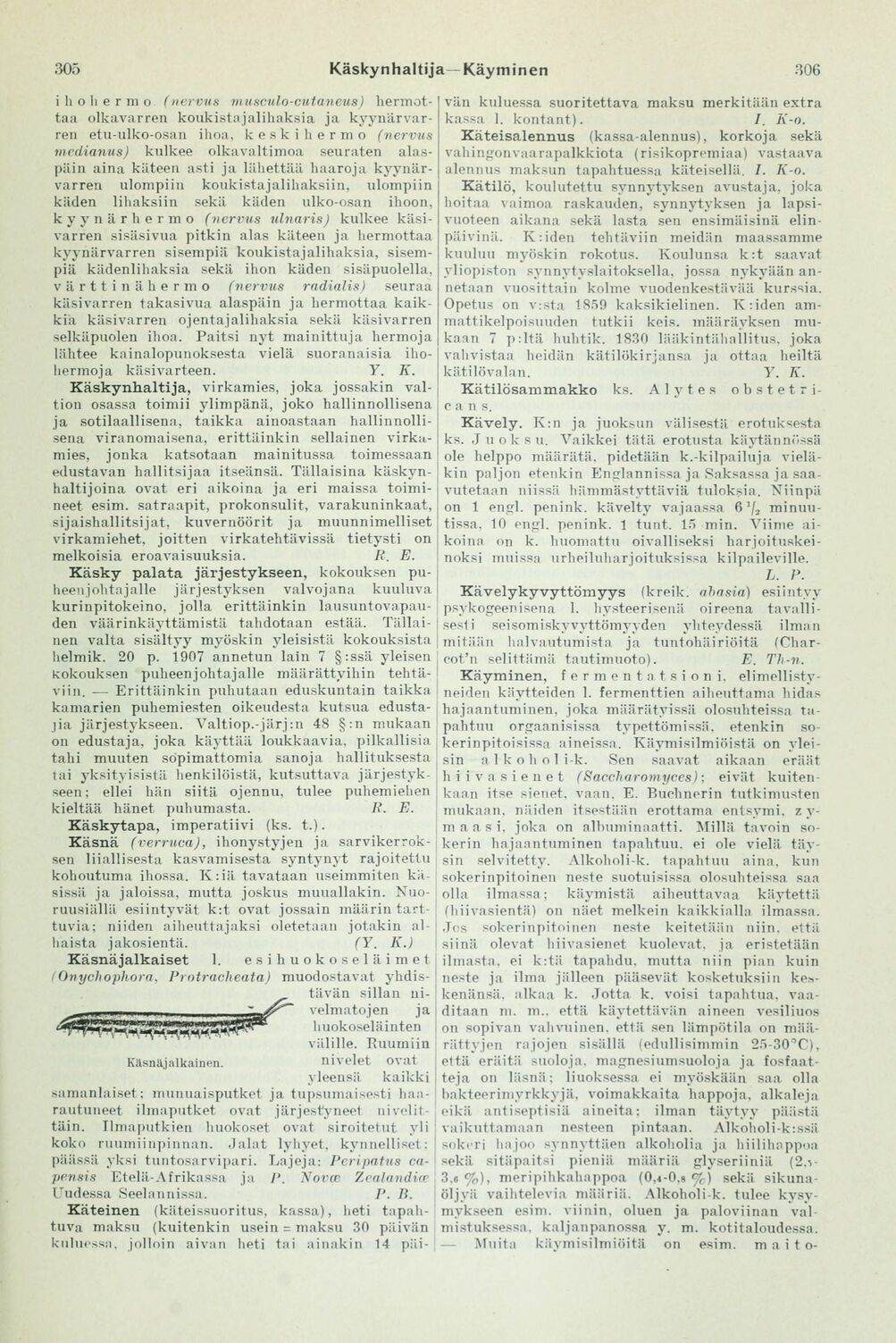 scanned image