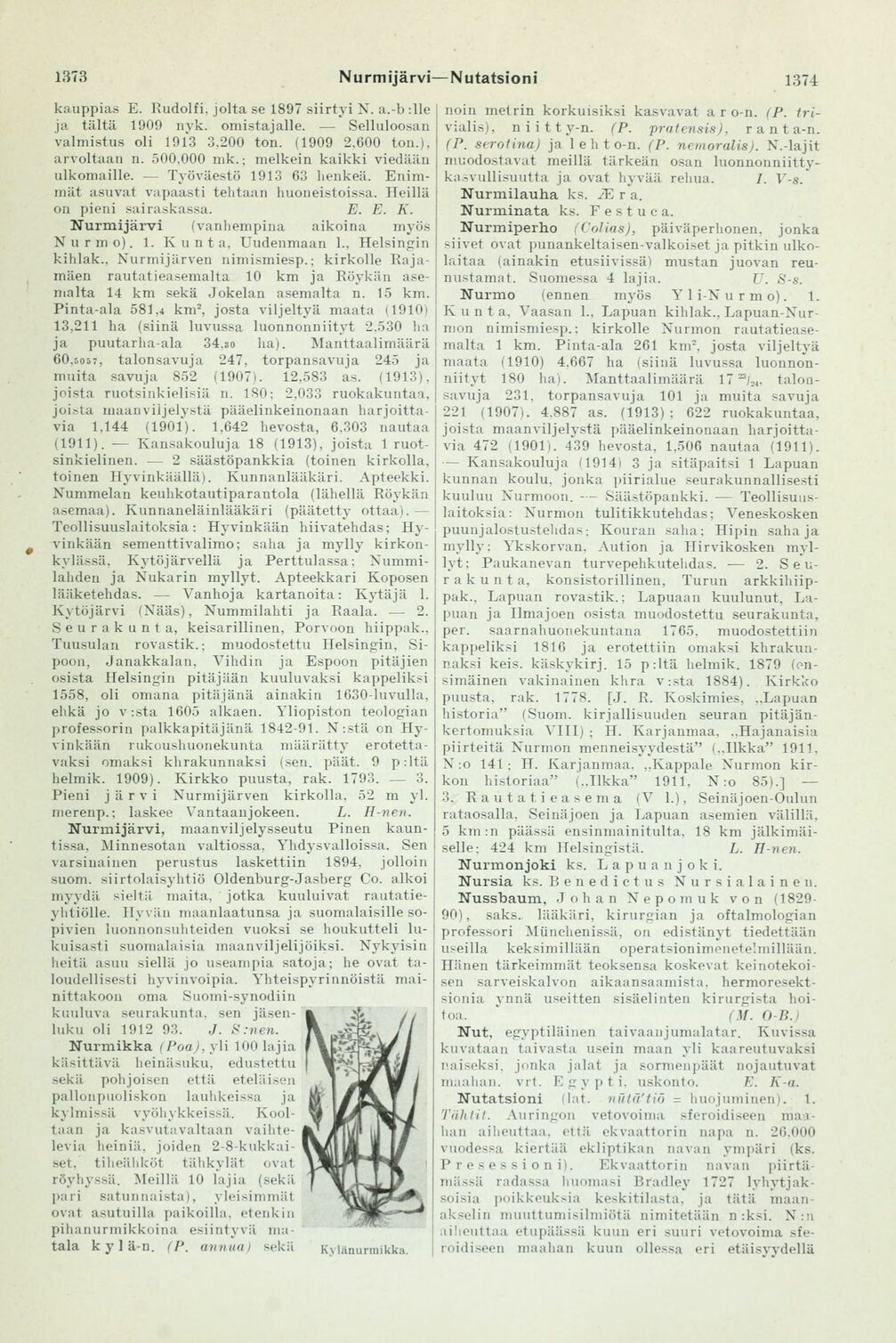 scanned image