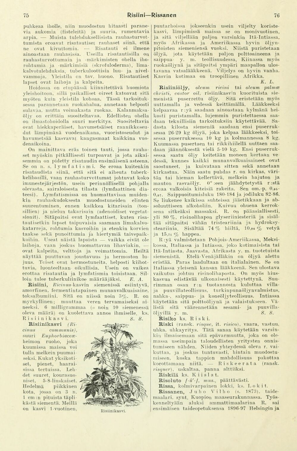 scanned image
