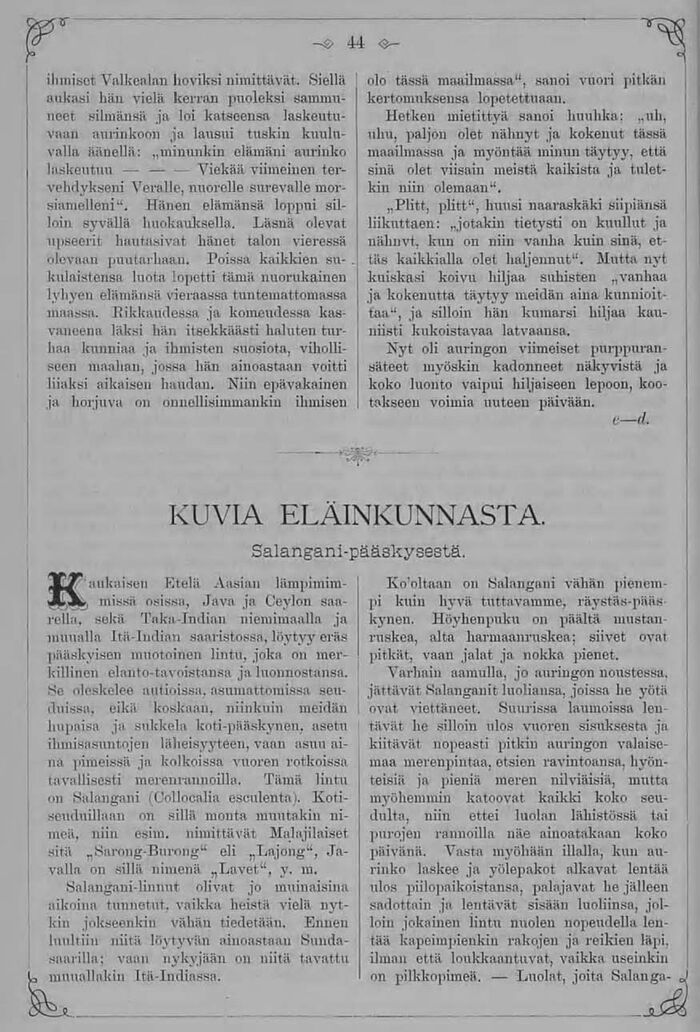 scanned image
