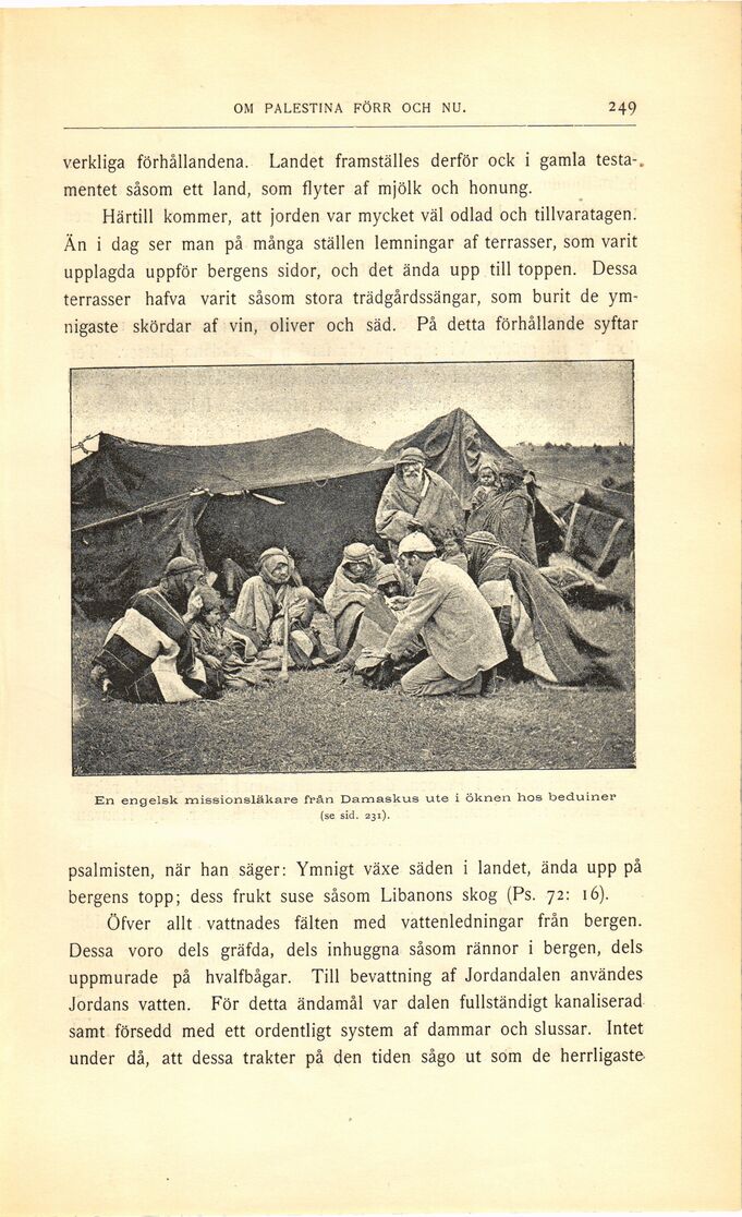 scanned image