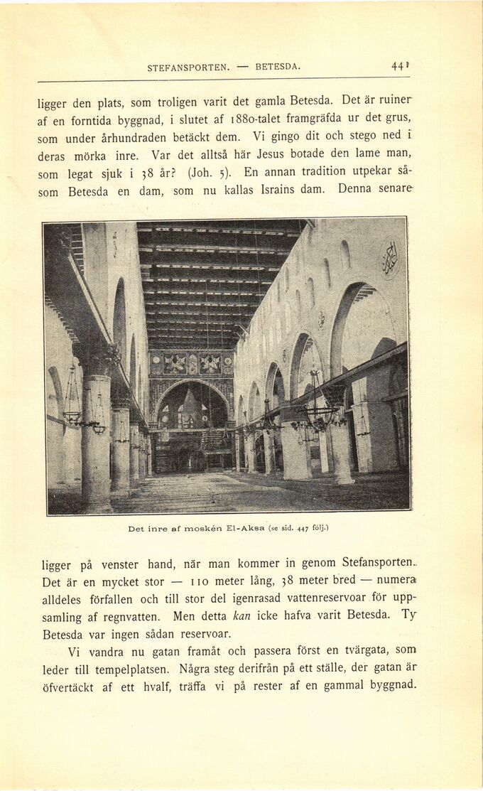 scanned image