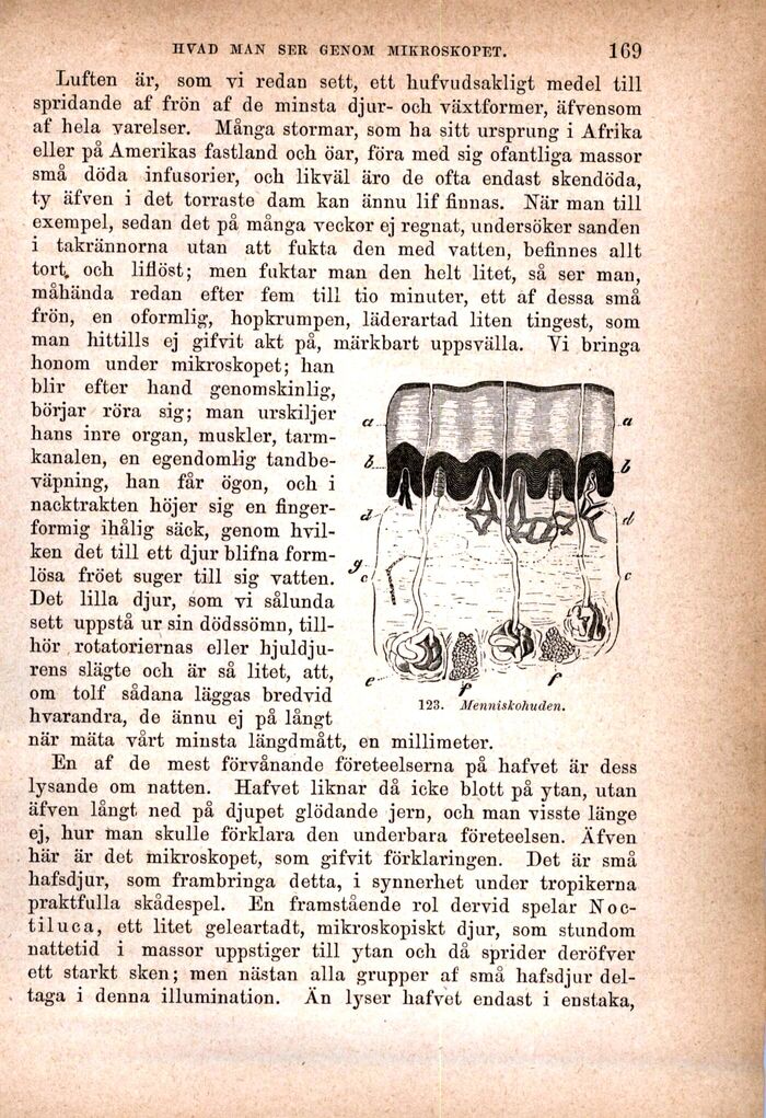 scanned image