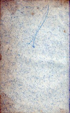 scanned image