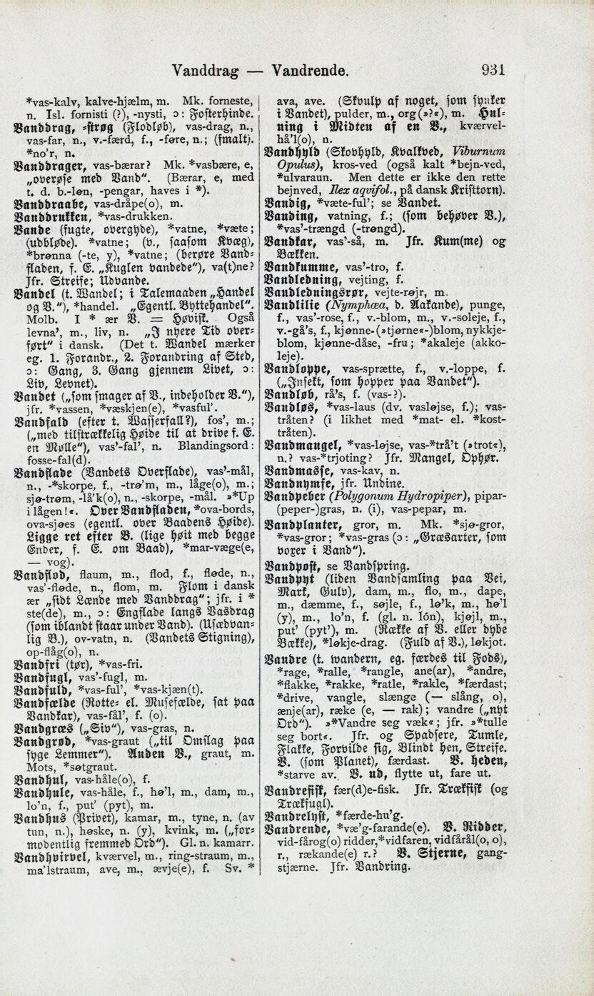 scanned image