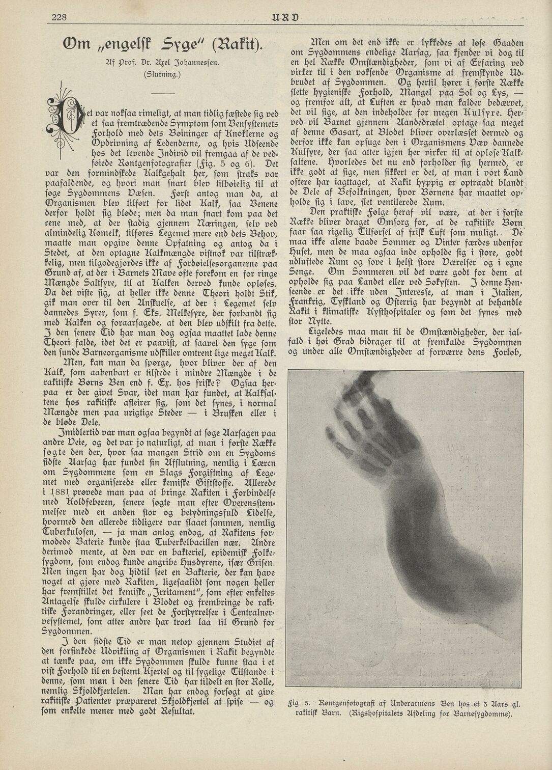 scanned image