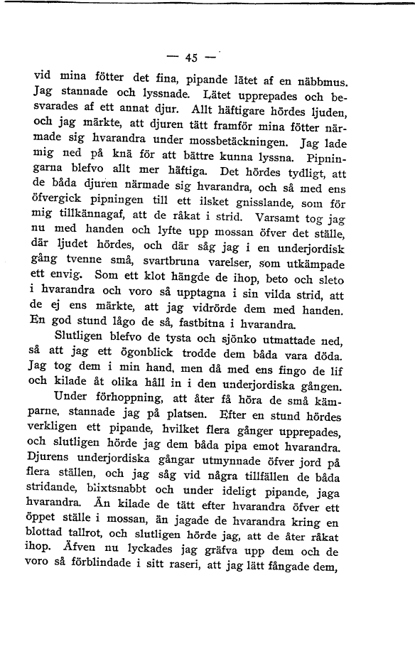 scanned image