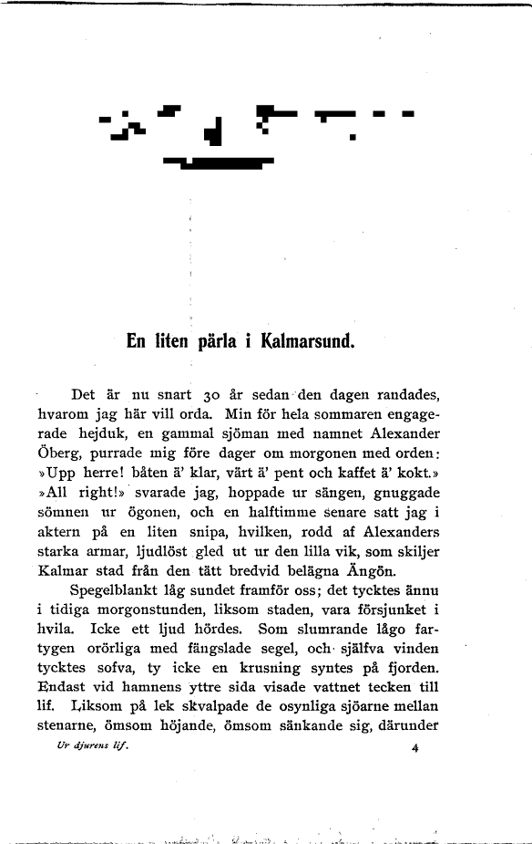 scanned image