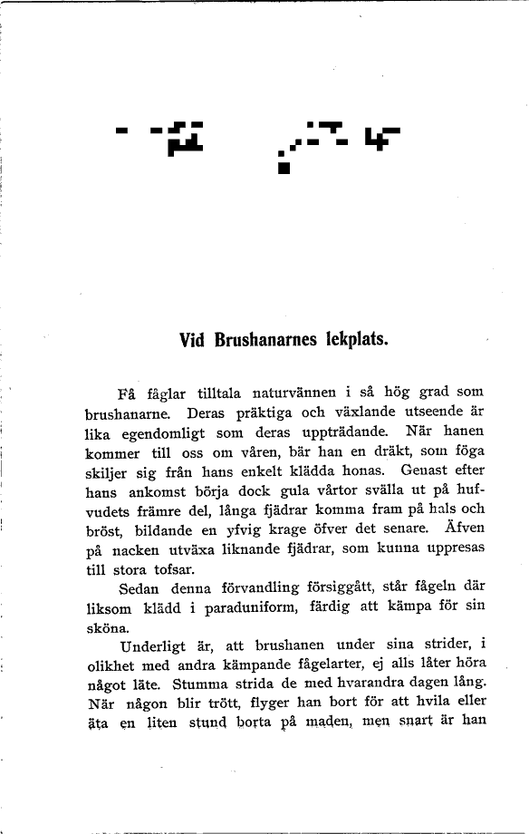 scanned image