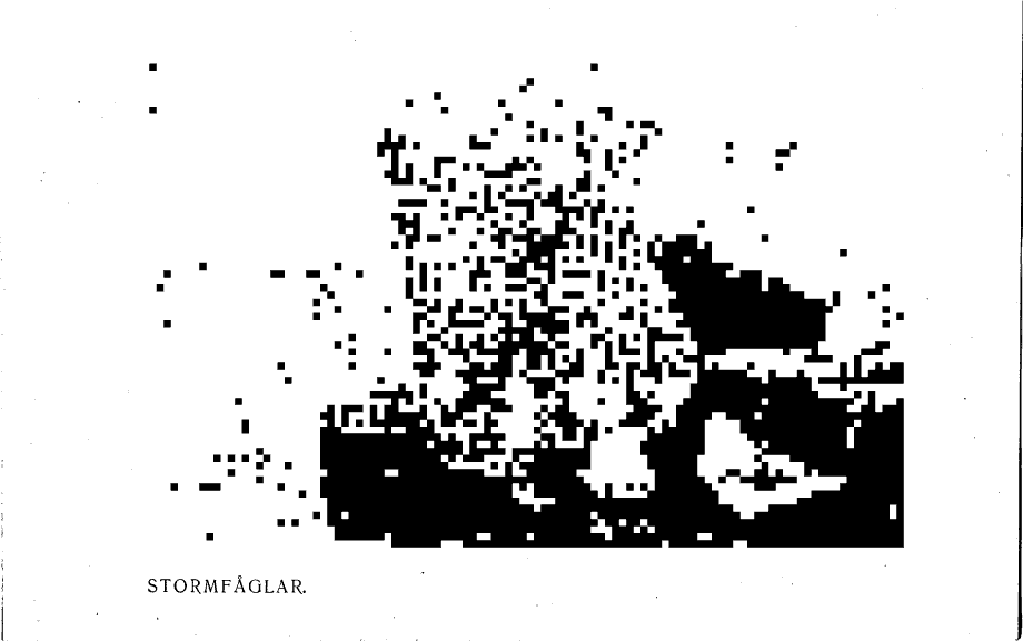 scanned image