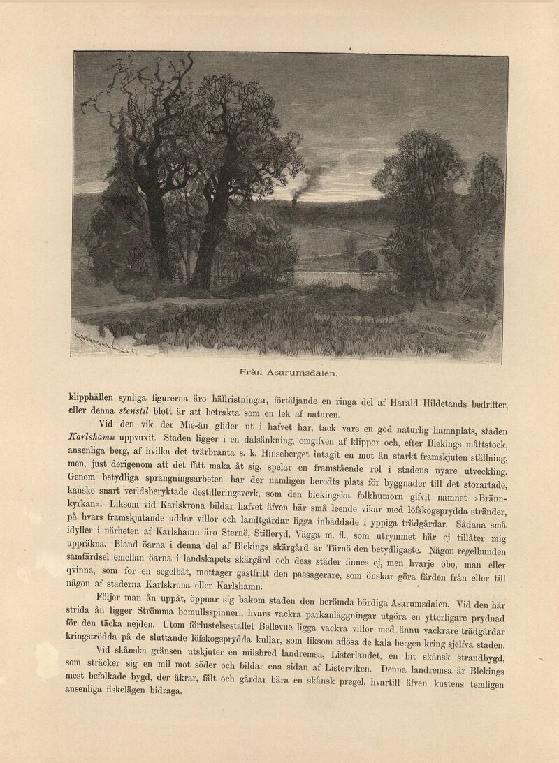 scanned image