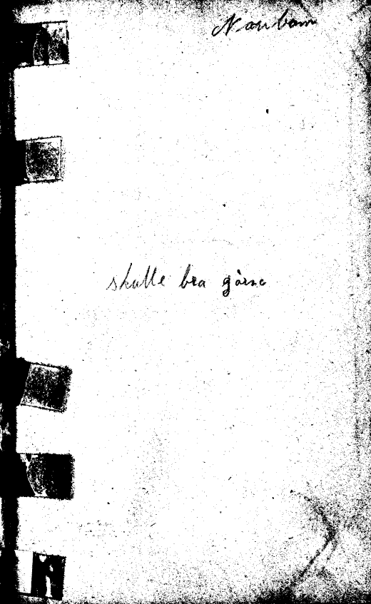 scanned image