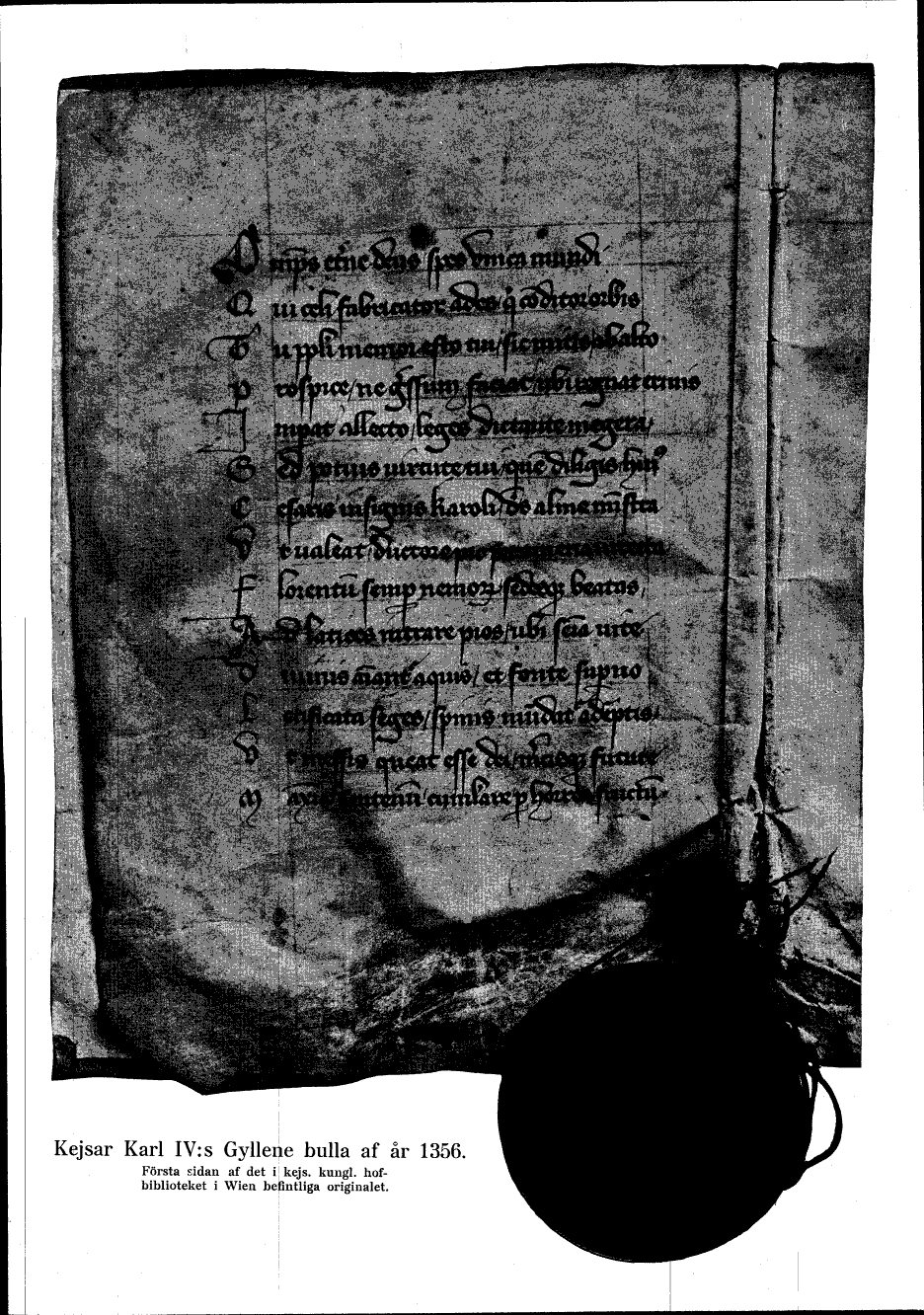 scanned image