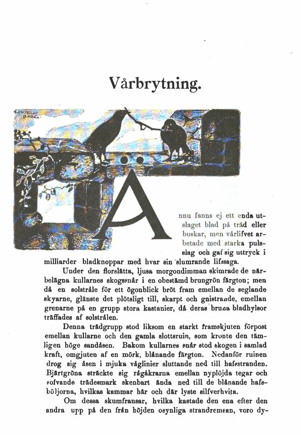 scanned image