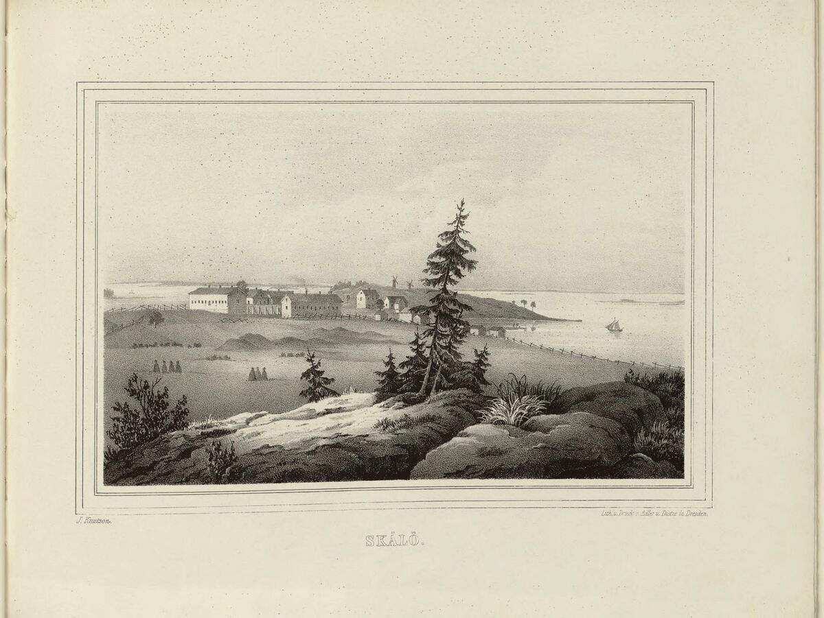 scanned image
