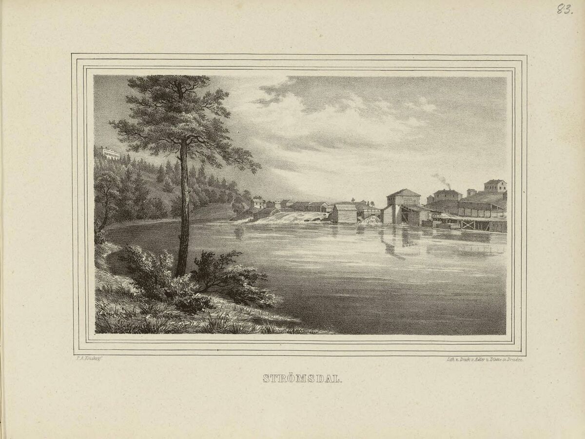 scanned image