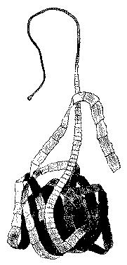 Fig. 11.