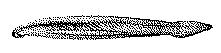 Fig. 18a.