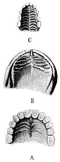 Fig. 252.