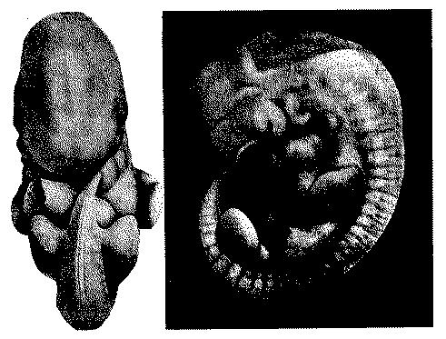 Fig. 254.