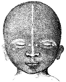 Fig. 257.