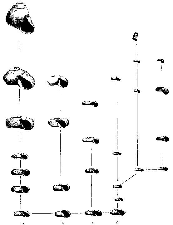 Fig. 8.