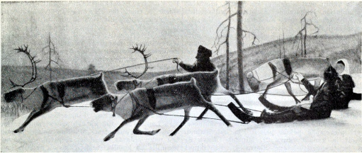 J. K. Kyyhkynen, Lappalaisia poroineen